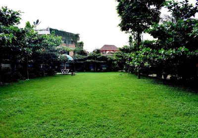 photo-gallery (22)